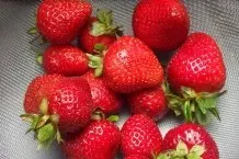 Erdbeeren im Kühlschrank richtig lagern