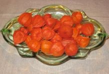 Schale voll Lampionblumen - schöne orangerote Tischdekoration