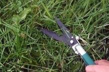 Gartenarbeit durch Vorlesen kurzweiliger machen