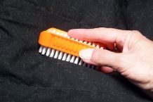 Katzenhaare mit Nagelbürste entfernen