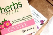 Ohne Erkältung durch den Winter mit Cistus/Zistrose