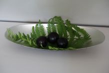 Frucht & Obstfliegen mit Farn bekämpfen