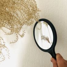 Rauskriegen ob die tapezierte Wand feucht ist: mit Handspiegel