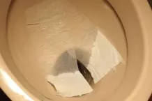 Wasser sparen am WC - Klopapierblatt einlegen