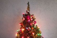 Tolle Weihnachten für die ganze Familie