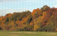 Puzzleteile verrutschen nicht: Rand der Puzzleplatte mit Leim umranden