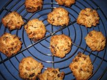 Vollkorn-Cakes mit Cranberrys und Rosinen