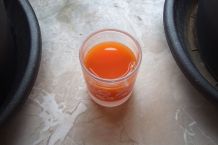 Karottensaft gegen Trauermücken