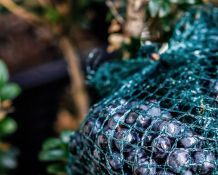 Gemüse/Obstnetze als Schutz vor Vogelfraß