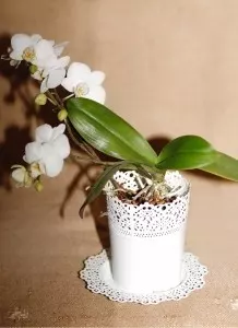 Orchideen Pflege: Orchideen in Regenwasser tauchen