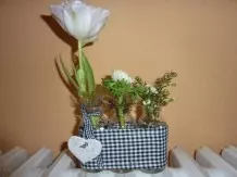 Kaffesahnegläser weiterverwenden - Blumenvase