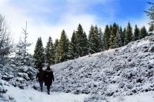 Salzflecken von Schuhen entfernen mit Essiglösung