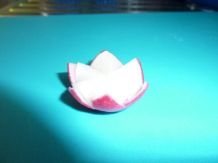 Radieschen als "Blume" auf den Tisch bringen