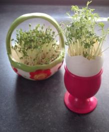 Einfache Frühlingsdeko auch für Kids - zum Selbermachen
