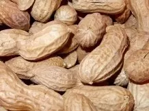 Erdnüsse als Füllmaterial für Päckchen