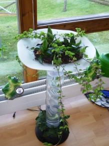 Defekte Wassersäule mit Glasschale neu verwenden: als Pflanzschale