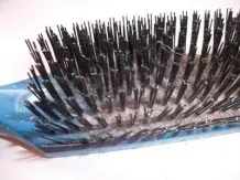 Haare von einer Haarbürste lassen sich leicht entfernen...