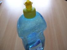 Topfblumen gezielt gießen - mit Klarspülerflasche