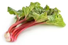 Rhabarberkompott