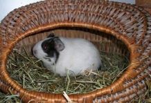 Kleines Weidenkörbchen - Meerschweinchens Schlafhäuschen