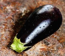 Sonnenbrand lindern: mit geraspelter Aubergine und Joghurt
