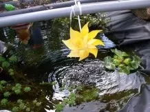 Wasserspiel für den Teich mit einer Windmühle