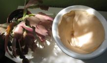 Kaffeefiltertüte zum Auskleiden eines Blumenübertopfes