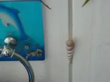 Dübellöcher im Badezimmer kaschieren