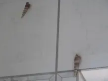 Bohrlöcher im Badezimmer kaschieren
