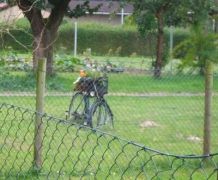 Altes Fahrrad - eine ausgefallene Deko für den Garten