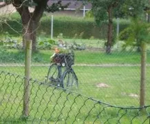 Altes Fahrrad - eine ausgefallene Deko für den Garten