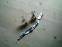 Bastelidee: Blumen aus Alu-Futterschälchen