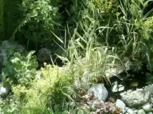 Gartenteich aus Mörtelwannen