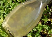 Pfefferminzsirup