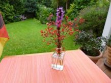 Balsamico-Flaschen als Blumenvase