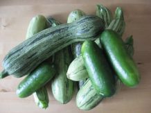 Zucchini- oder Kürbis-Suppe