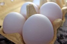 Eier bei Raumtemperatur verarbeiten - macht das Sinn?