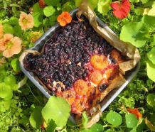 Blaubeer-Aprikosen-Kuchen mit Vanille-Quark-Teig