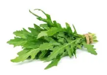 Rucola wie Spinat zubereiten