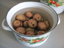 Kartoffelwasser als Blumendünger