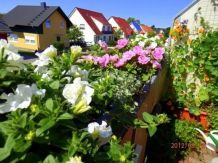 Ausknipsen verwelkter Blüten - schöne üppige Blütenpracht
