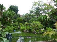Zuviele Pflanzen im Garten - Pflanzen verschenken