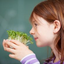 Gastgeschenk für den Kindergeburtstag: Kresse im Topf