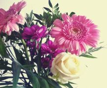 Schnittblumen lange frischhalten