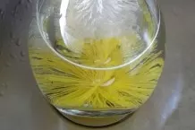 Schlechten Geruch aus Vasen entfernen