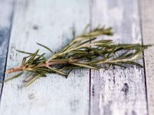 Rosmarin vor dem Frost retten - Rosmarinöl herstellen