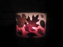 Warmes Herbstlicht mit Blättern