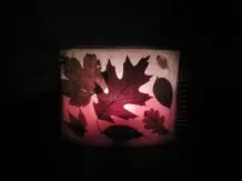 Warmes Herbstlicht mit Blättern