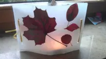 Warmes Herbstlicht mit Blättern