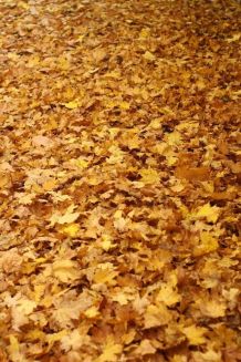 Mit der richtigen Outdoor-Bekleidung gesund durch den Herbst